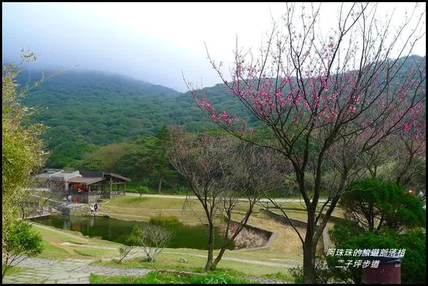台北。大年初一二子坪步道走春