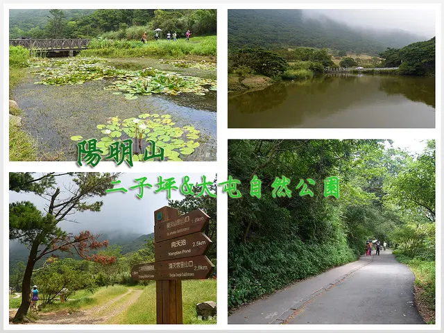【新北。遊記】陽明山夏日避暑踏青步道。雲霧環山涼意濃 ─ 二子坪 & 大屯自然公園