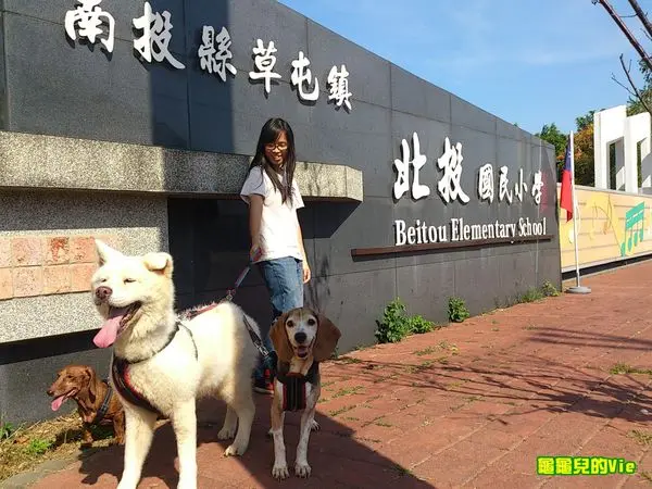 ∥龜龜爬爬走∥南投 草屯 北投國小 熊貓彩繪田