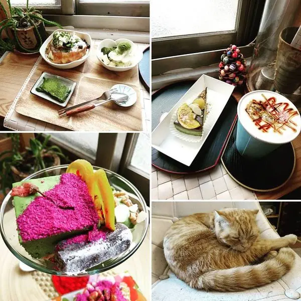 品嘗來自秋天的斑斕色彩～草ｄｏｒｏ 秋之彩