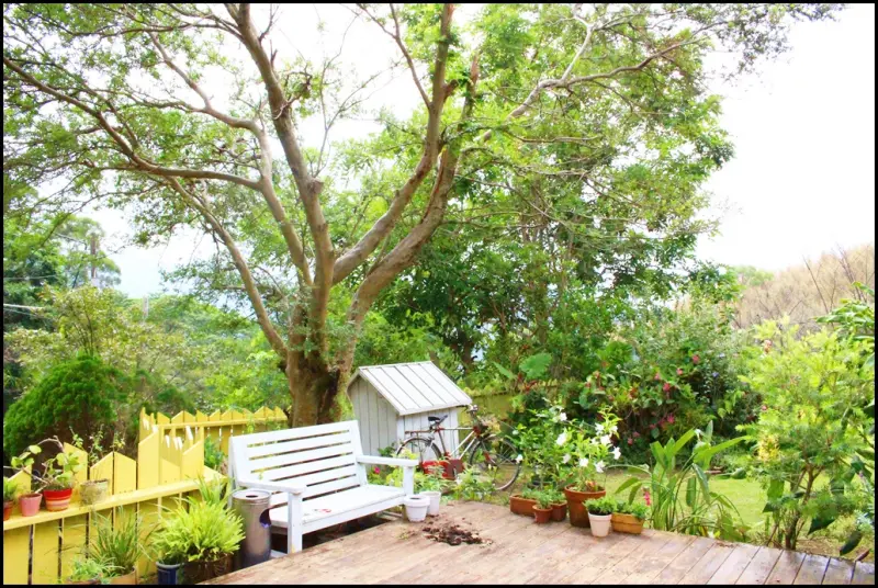 桃園大溪復興鄉美食景觀餐廳：普拉多山丘假期～休憩用餐都滿意的鄉村風景觀餐廳