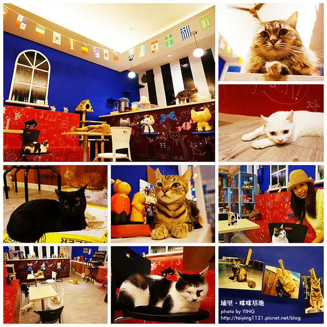 咪咪基地咖啡，茶，輕食
