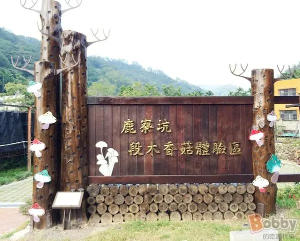 【芎林旅遊】鹿寮坑段木香菇.芎林旅遊推薦.自然農法.有機栽種.段木香菇