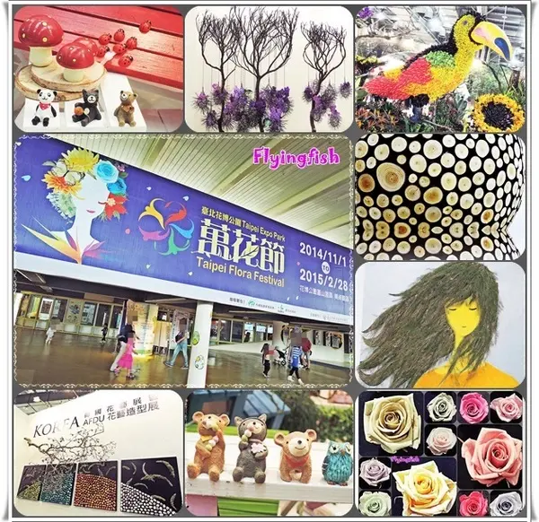 ✜ 讓花藝帶來好心情❤～: 「2014萬花節－愛與芬芳花藝展11/1/14(六)-11/9/14(日) (花博公園爭豔館)」        
      