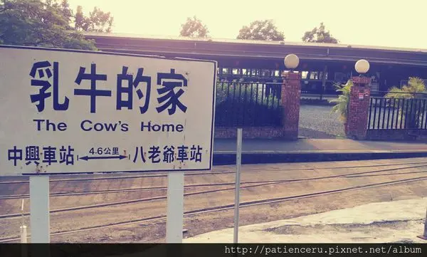 【台南柳營－旅遊】哞~我要到乳牛的家買現擠的牛奶!!!