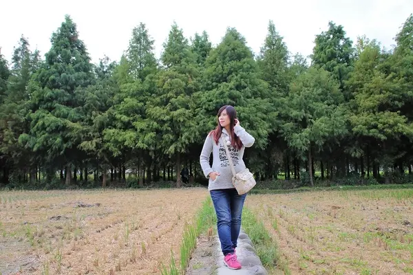 【台中霧峰景點】霧峰落羽松~拍攝婚紗及畢業照取景點  情侶拍照趴趴走必來打卡地標        
      