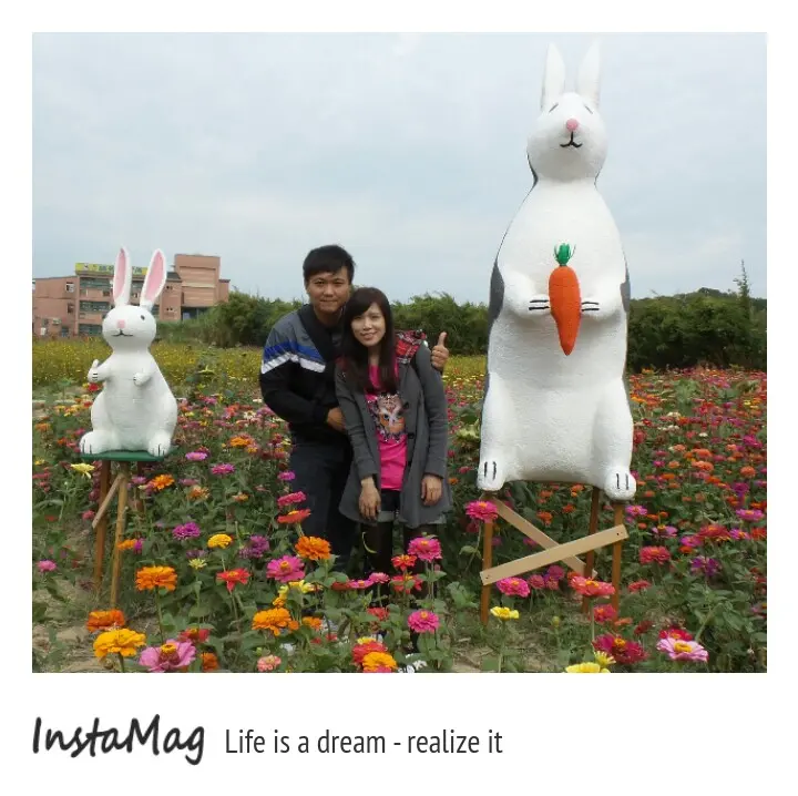 蘆竹花彩節海山花海~B區賞花