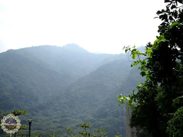 2014.10.17 -【高雄】茂林紫蝶幽谷　一起去追滿坑滿谷的夢幻紫斑蝶吧！順便分享一下怎麼讓小孩乖乖走路不讓人抱的……方法吧…