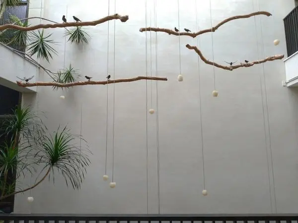 【台南住宿】樹說｜日式溫柔底蘊下藏不住的古都熱情 / 台南民宿推薦 / 安平民宿推薦 / 台南合法民宿