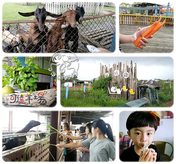 宜蘭員山親子景點 免門票【可達羊場】$100元把全場小動物餵透透，飼料餵鴨、牧草餵大羊、奶瓶餵小羊、紅蘿蔔餵兔子，還能拿個水鳥笛回家，每天都能聽到鳥叫聲。