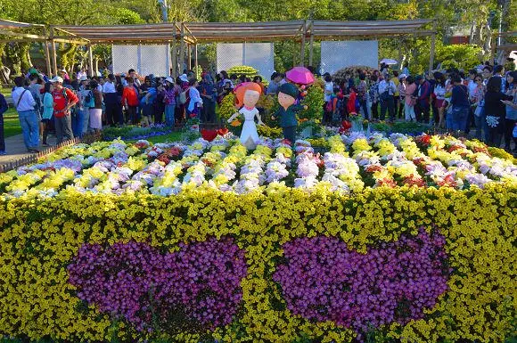 2014士林官邸菊展~~愛耀菊時．充滿浪漫元素的花展