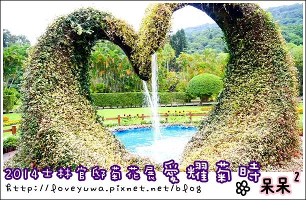 【台北◍•ᴗ•◍❤士林】展覽・2014士林官邸菊展-「愛耀菊時」｜愛你一世菊花展浪漫又甜蜜