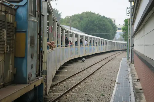 [彰化] Changhua [半日遊] 💜 溪湖阿秀羊肉爐+溪湖糖廠+銀河鐵道望景餐廳 💜