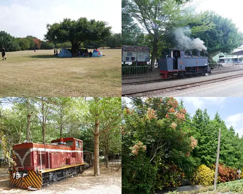 羊葡小鎮，聽火車說故事，踩鐵馬看稻浪/彰化玩沙免費景點/溪湖糖廠/鄰近東螺溪自行車道＆溪湖中央公園