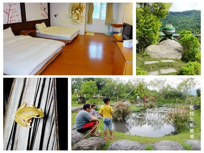 花蓮親子民宿 ▶ 小雨蛙生態民宿 ▶ 適合親子入住的生態民宿 釣魚・夜間生態導覽・自行車・乘坐鐵牛車感受田園風光