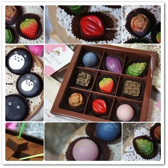 ╠宅配。甜點╣甜，是幸福的味道!Nina巧克力工坊~☆療癒你我的心【龍貓造型馬卡龍、70%厄瓜多爾生巧克力、9入手製單品巧克力禮盒】享受甜蜜分食樂趣!