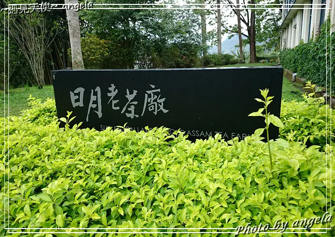 ▪ 日月老茶廠 - 幽靜品茗好所在