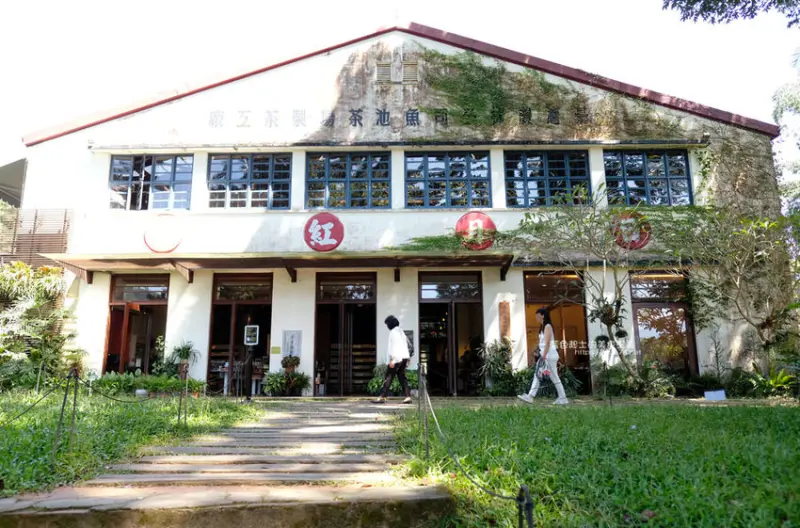 南投魚池│日月老茶廠-3公頃無染茶園和骨董級製茶廠,自然農耕方式,南投伴手禮,近日月潭 - 藍色起士的美食主義