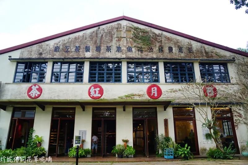 【南投-魚池鄉】日月老茶廠
