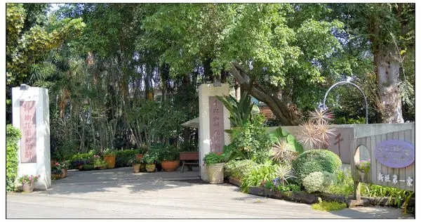 新社~千樺花園‧景觀餐廳