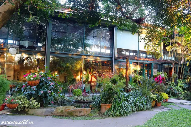 新社千樺花園餐廳｜森林裡的玻璃屋咖啡廳，品嚐無菜單法式料理，絕美景觀庭園，戶外婚禮場地推薦