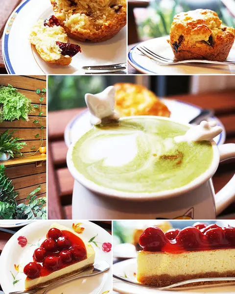 【甜點 ● 下午茶】多法妮cafe。巷弄內恬靜雅致手工甜點店，姊妹下午茶好去處。