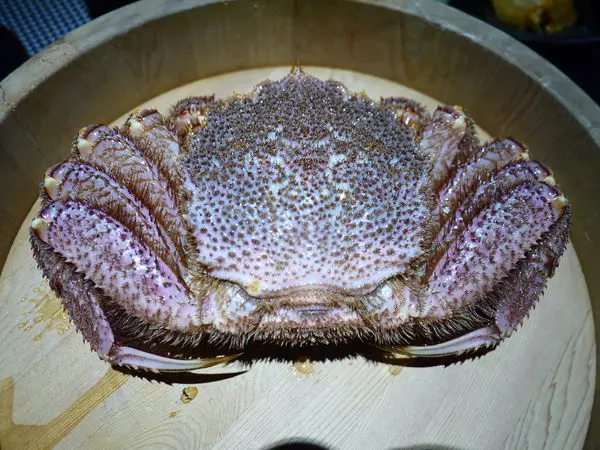 【食記】鼎膾一品涮涮鍋--秋蟹的極致奢華享受