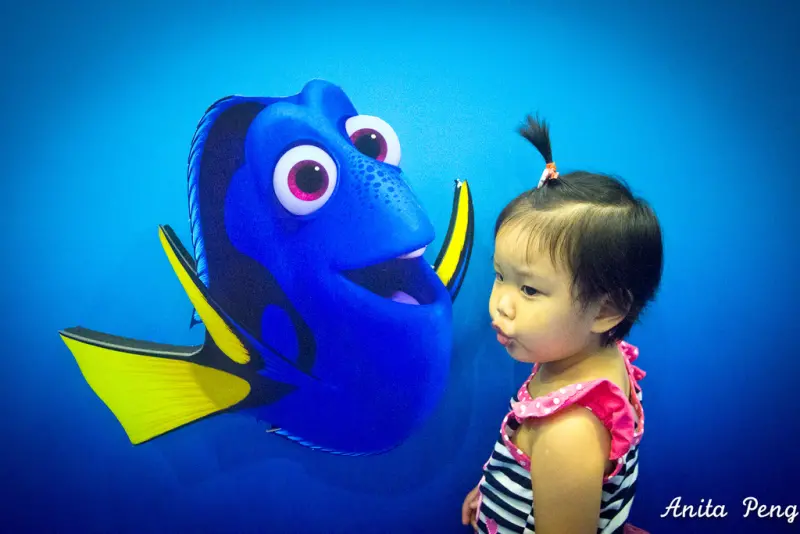 【展覽．台北】迪士尼．皮克斯夏日快閃店～快來與「海底總動員2多莉去那兒？」的動畫明星們合影吧！