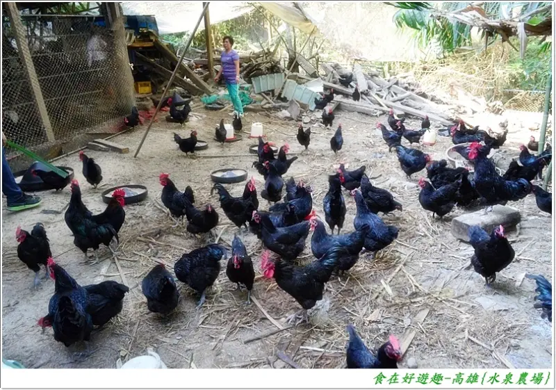 高雄-水泉農場．體驗自然及生態的輕旅行!!