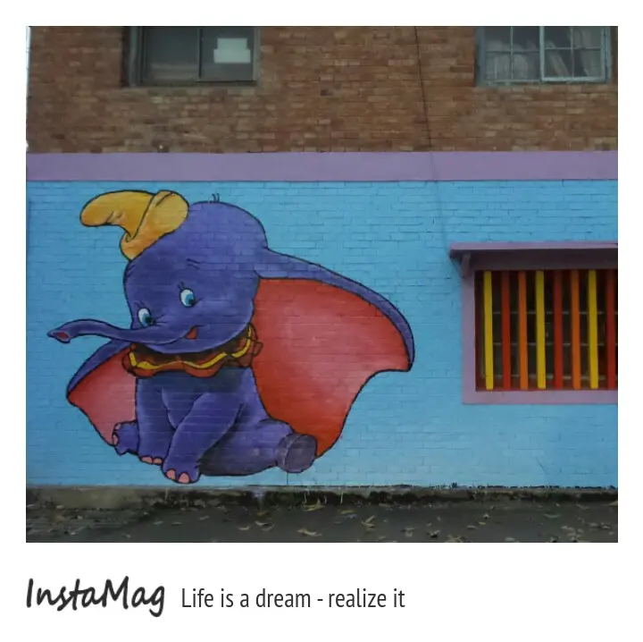 新景點嘉義新港埤子村以大象為主題的彩繪村