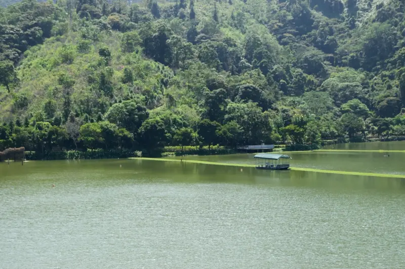 南投 - 埔里鯉魚潭 - 在台灣中心的小小西湖