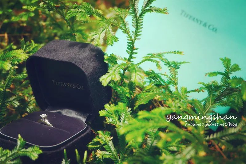 [台北。陽明山] 竹子湖黑森林~宛若置身在歐洲童話故事中的森林系俏麗精靈!!!