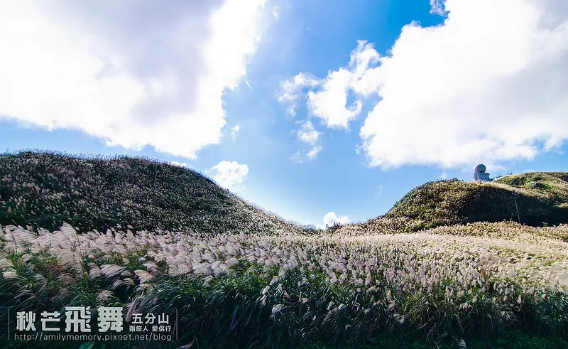 【瑞芳/平溪景點】秋風輕撫。芒花飛舞/全台美麗公路-深秋五分山 2014芒花季 單車步道