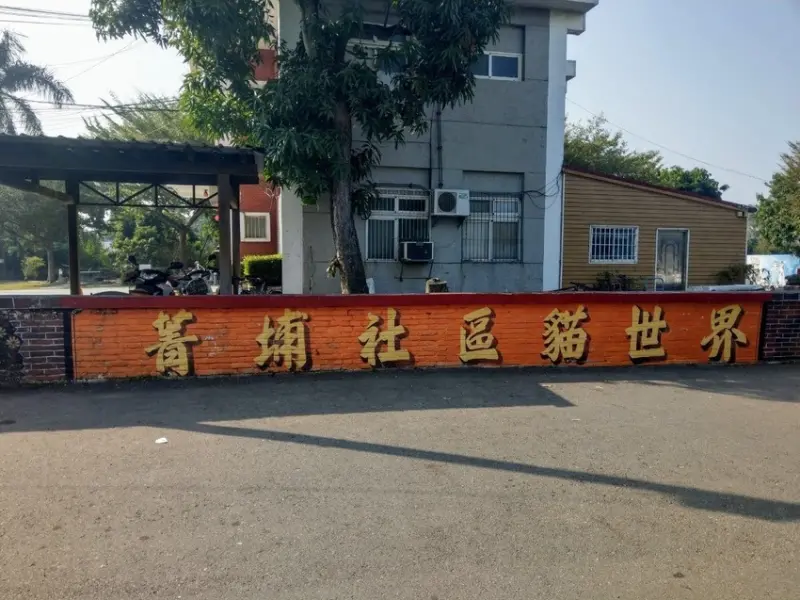 嘉義民雄~菁埔社區貓彩繪