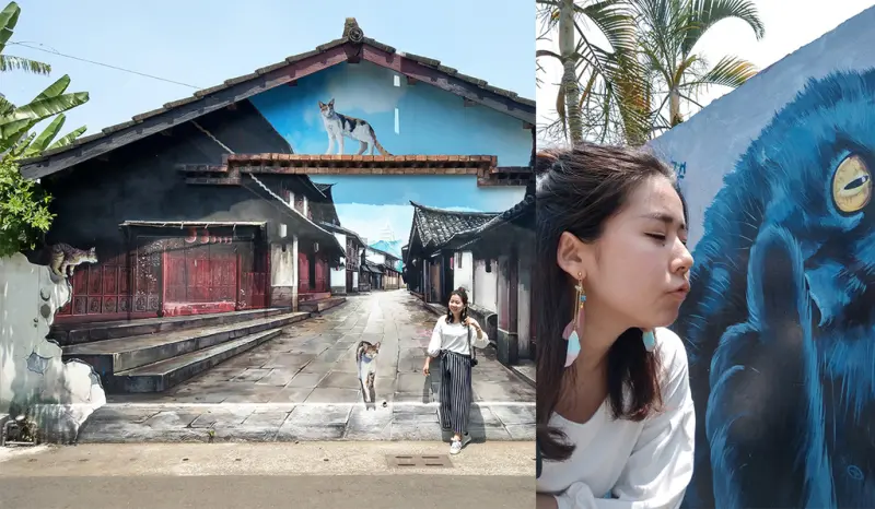 【嘉義景點】菁埔社區貓世界 貓咪彩繪村 菁埔彩繪村 順路景點 必拍