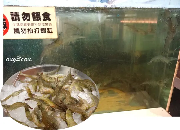台南 永康區 正港七股活跳跳的大蝦吃到到飽 饗麻饗辣