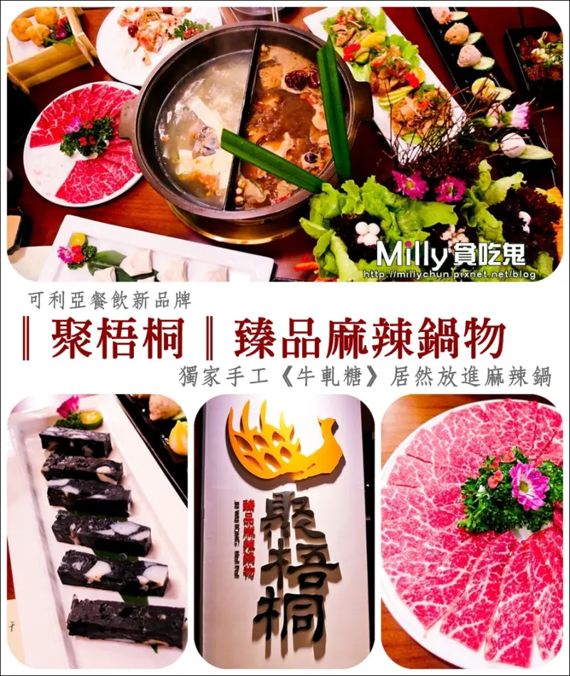 ◆高雄新興。單點麻辣鍋推薦◆聚梧桐臻品麻辣鍋物。可利亞餐飲新品牌~獨家手工《牛軋糖》居然放進麻辣鍋?