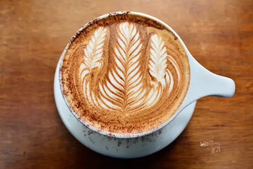 All Day Roasting Company:很強的咖啡拉花