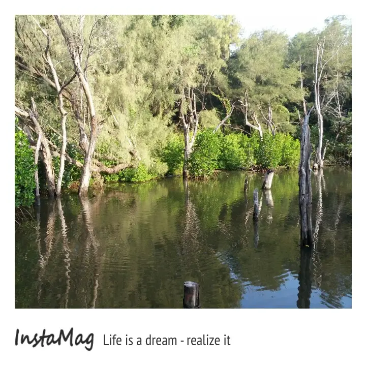 無人打擾的忘憂秘境-台南北門雙春濱海遊憩區