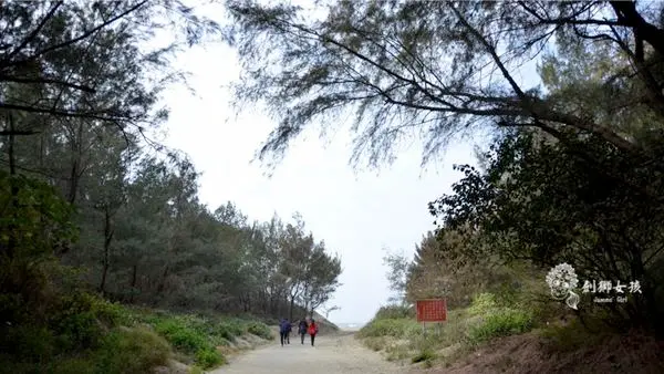 【台南旅遊】台南有森林有大海的秘境～雙春濱海遊憩區