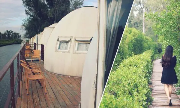 [台南/北門區]雙春濱海遊憩區-Vanaheim愛莊園 夢幻星空帳篷 絕美紅樹林仙境 無敵海景