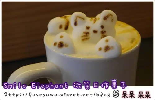 【台南◍•ᴗ•◍❤中西】神農街✯美食・Smile Elephant微笑日作菓子食記｜令人怦然心跳的立體拉花咖啡與日式洋菓子