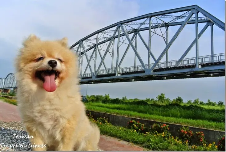 【高雄．大樹】百年舊鐵橋化身天空步道，高雄大樹新亮點 (2014年9月新開放)