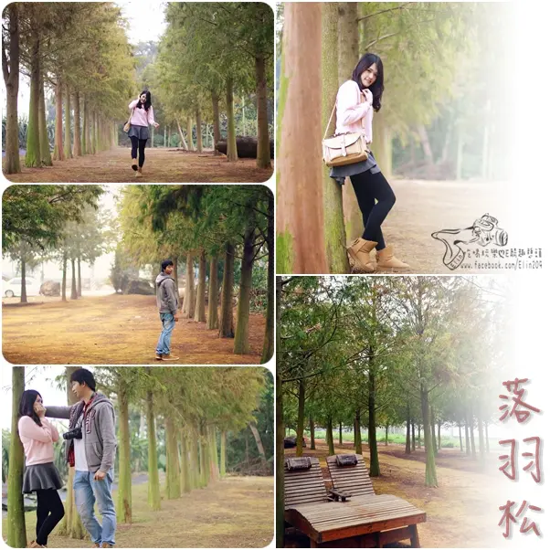 【遊】搶先拍～之後轉紅會更美！整個落羽松都是我的伸展台