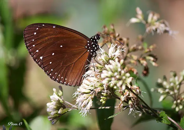 【景點資訊】高雄週末活動好去處大整理（包含高雄聖誕、跨年約會景點）