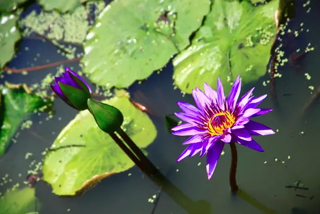 [景點]北台南旅行景點懶人包