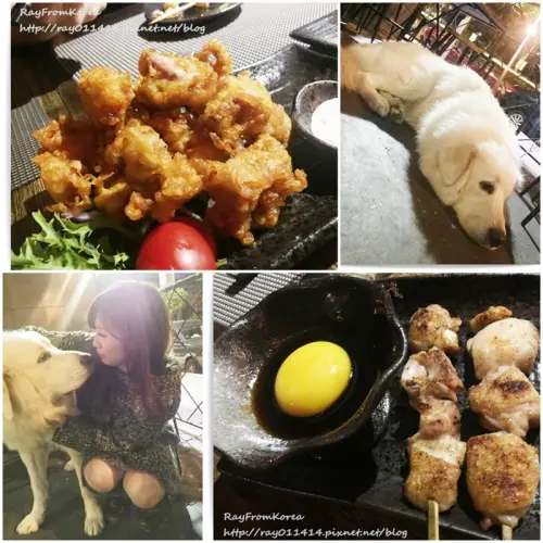 [串燒居酒屋]市民大道上 為了超可愛大白熊慕名而來 烤物都不賴的串燒店  - 熊燒 ピレニーズ