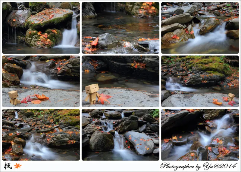 [攝影]【南投縣仁愛鄉】中橫台八線108K『楓』之谷。溪畔旁賞楓祕境