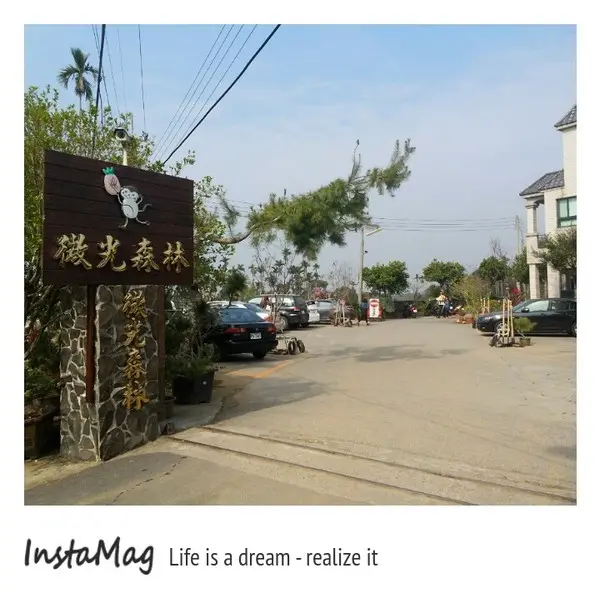 微光森林鳳梨酥        
      