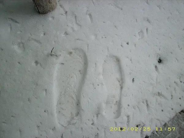 北陸秘境(二)~冬末軽井沢